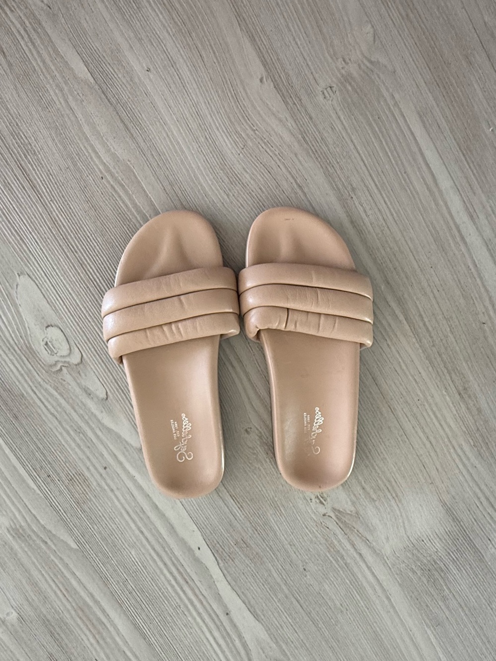 Seychelles Neutral Tan leather Slide Sandals - Women